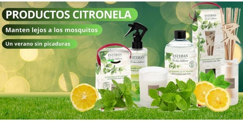 60483citronela.jpg